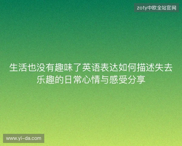 生活也没有趣味了英语表达如何描述失去乐趣的日常心情与感受分享